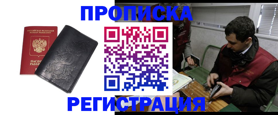 прописка поиск в Щёлково